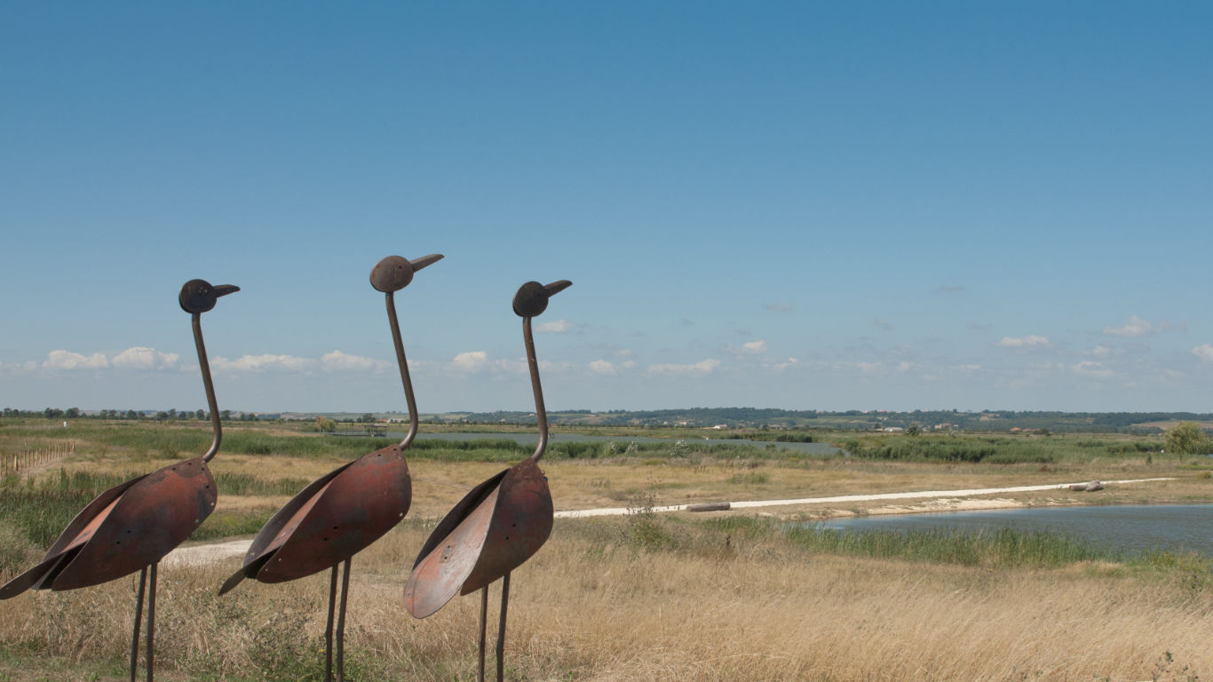 Sculpture in Pôle-Nature de Vitrezay