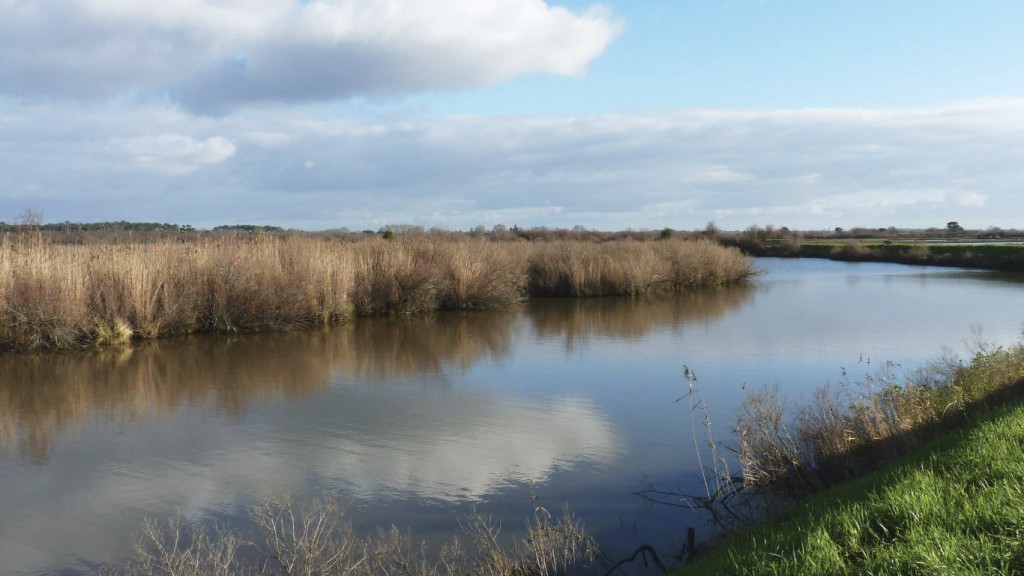 Le Teich Nature Reserve