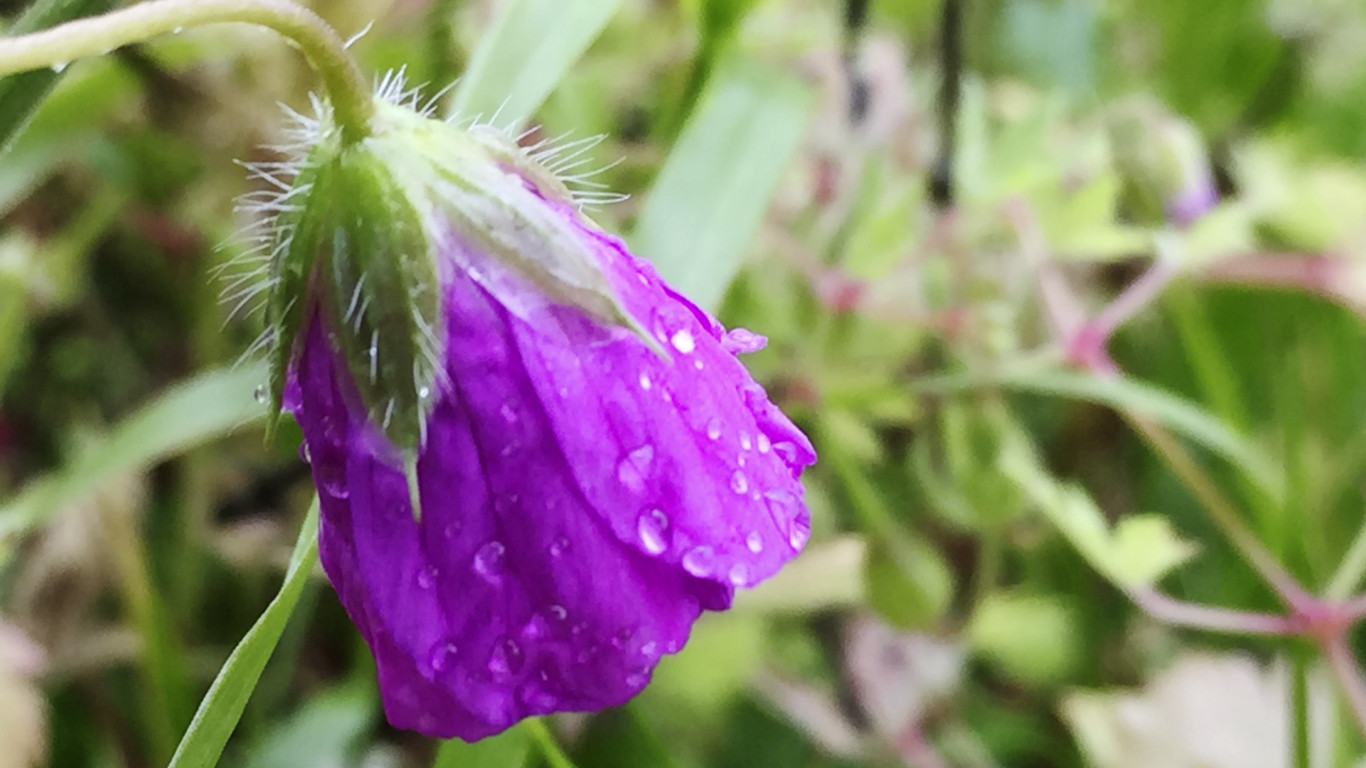 rainy days on the French Atlantic